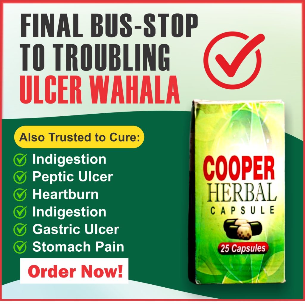 08cbd98b-fc03-44ea-9035-53f3bd9cdf7f